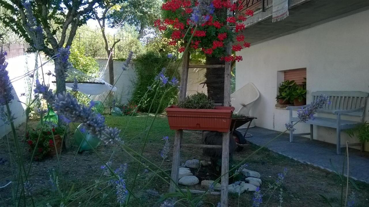 B&B Teranga Montecarotto Luaran gambar