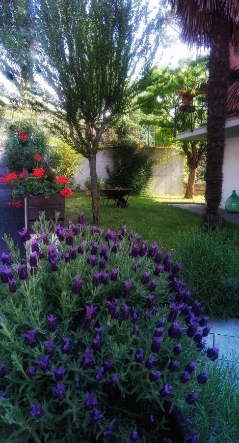 B&B Teranga Montecarotto Luaran gambar
