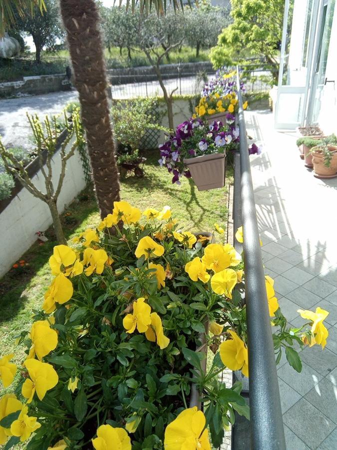 B&B Teranga Montecarotto Luaran gambar